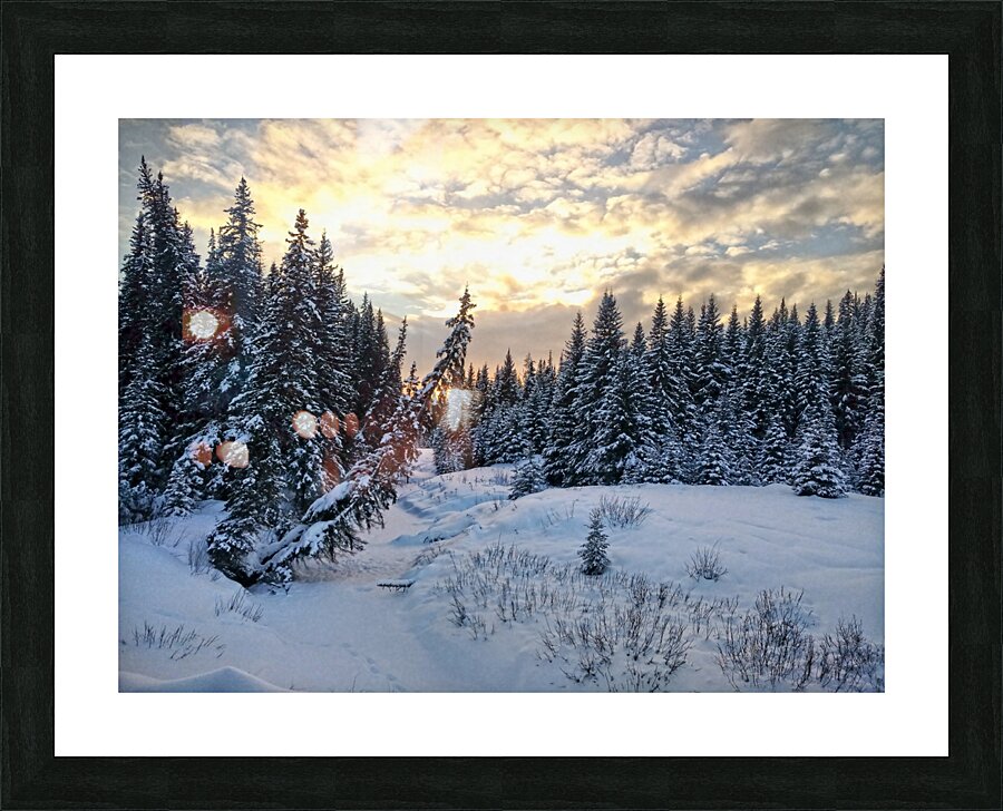 Frozen Picture Frame print