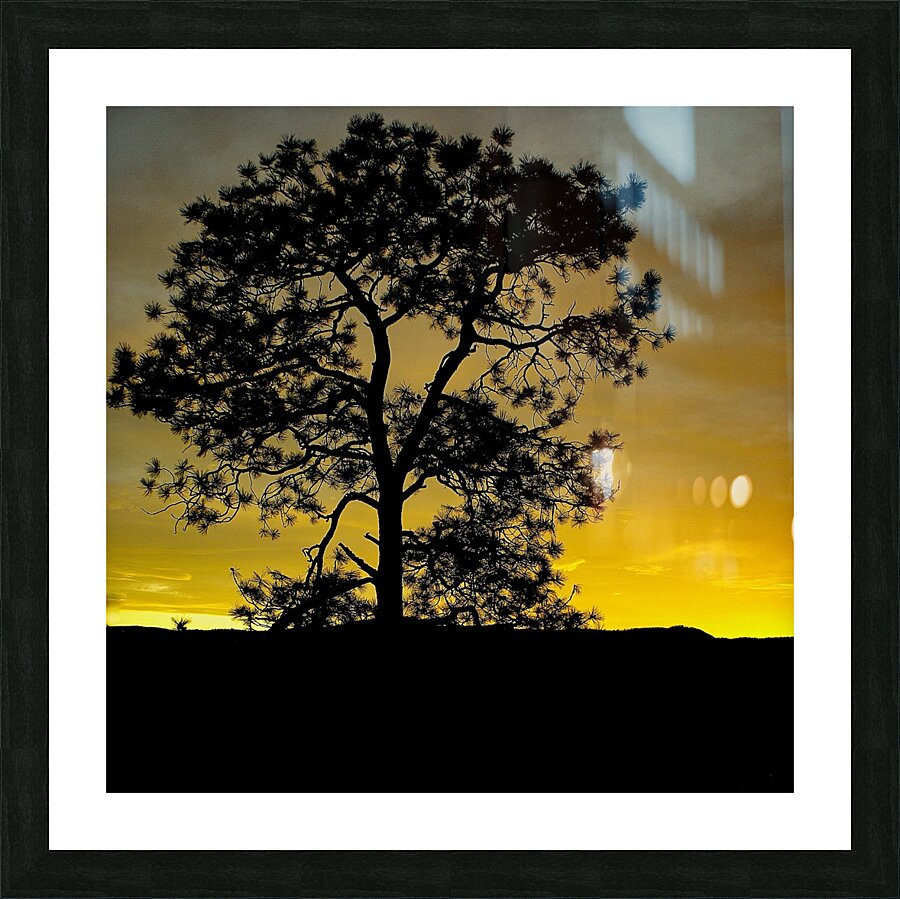 Lone Pine Picture Frame print