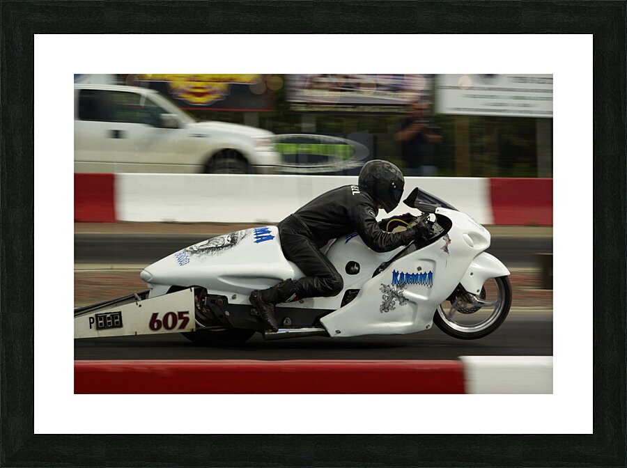 Hayabusa Picture Frame print