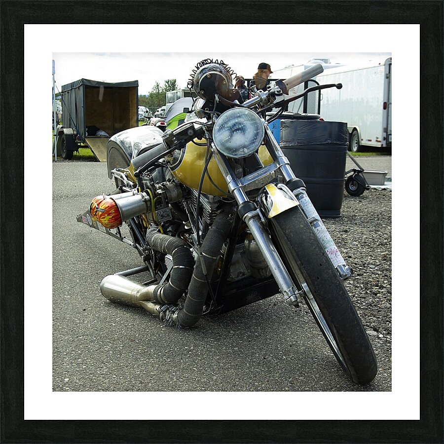 Harley Picture Frame print