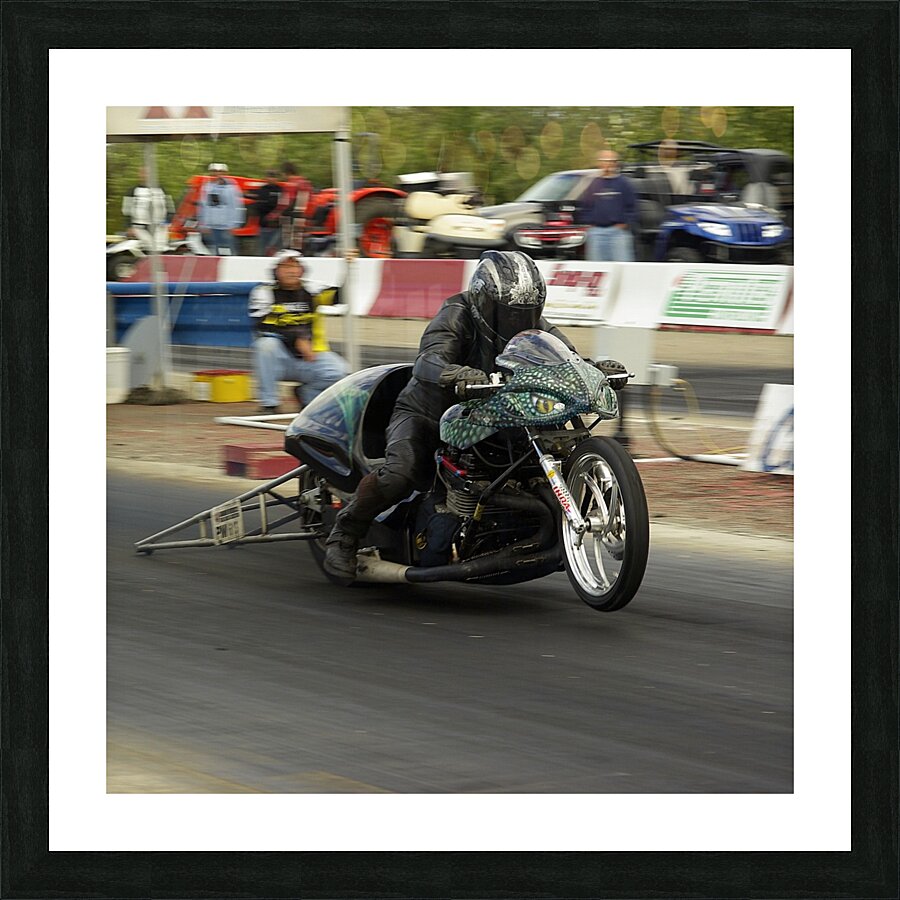 Pro Mod  Picture Frame print