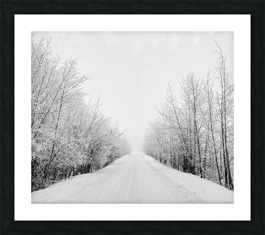 Road to Winter Picture Frame print