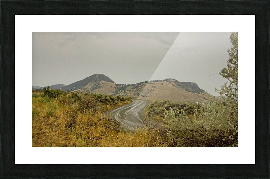 Summer Rain Picture Frame print