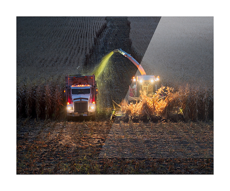 Harvest 2 Picture Frame print