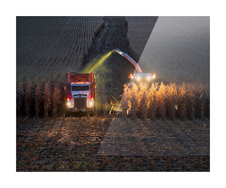 Harvest 1 Picture Frame print