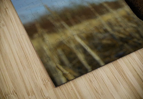 Cat Tail Kristian Gunderson puzzle
