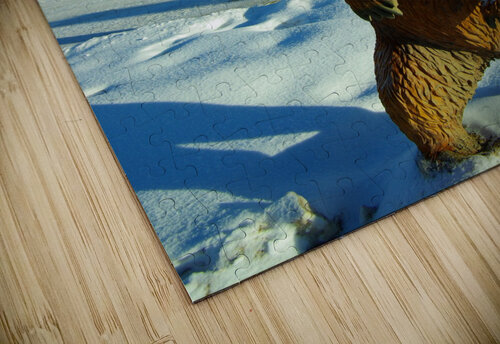 Bear on Guard Kristian Gunderson puzzle