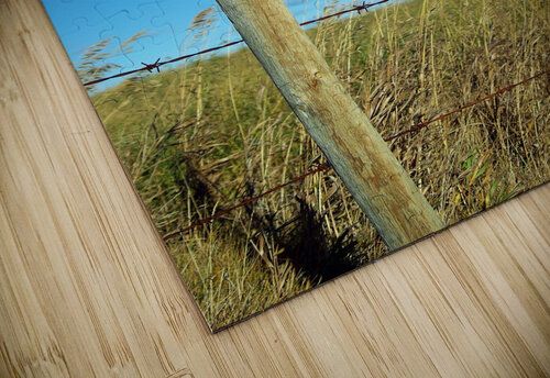 Leaning Kristian Gunderson puzzle