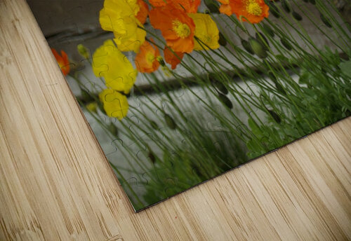 Flowers Kristian Gunderson puzzle