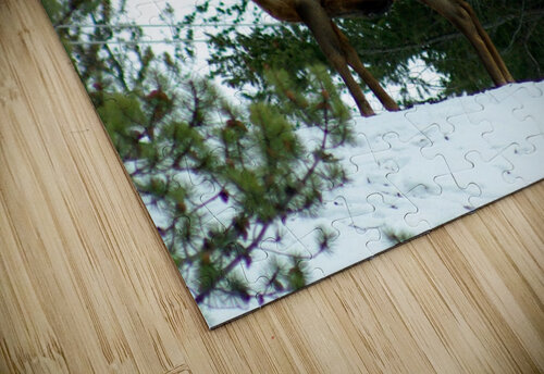 Elk Kristian Gunderson puzzle