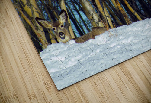 Mule Deer Kristian Gunderson puzzle