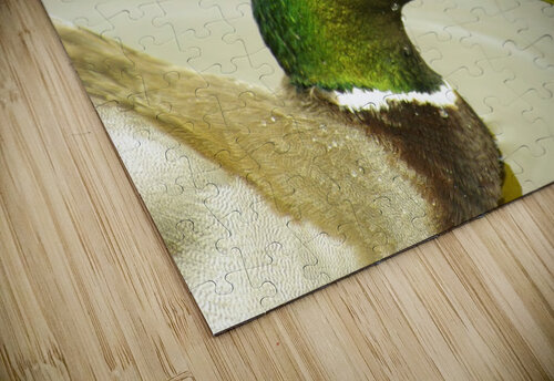 Mallard Kristian Gunderson puzzle