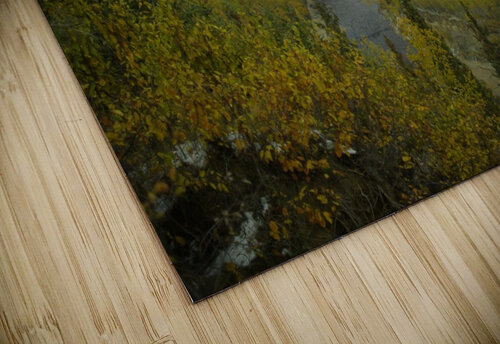 Fall Colours Kristian Gunderson puzzle