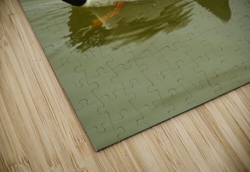 Mallard Kristian Gunderson puzzle