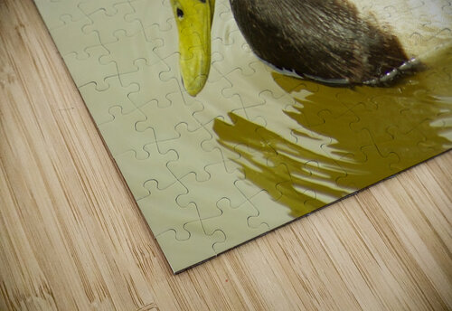 Mallard Kristian Gunderson puzzle