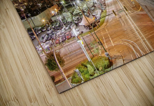 Vancouver Skytrain Kristian Gunderson puzzle