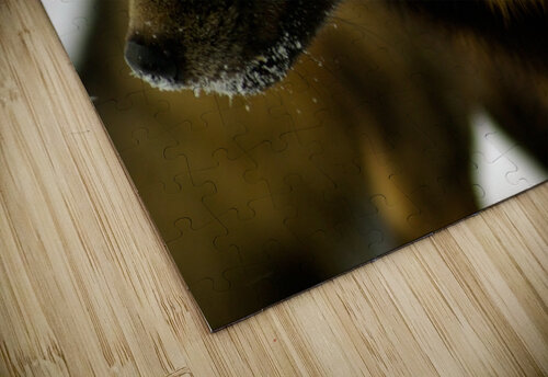Red Fox Kristian Gunderson puzzle