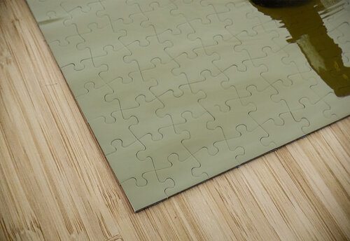 Spoonbill Duck Kristian Gunderson puzzle