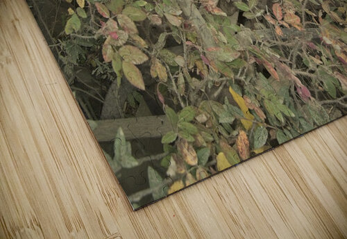 Overgrown Kristian Gunderson puzzle