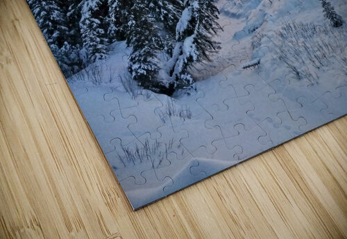 Frozen Kristian Gunderson puzzle