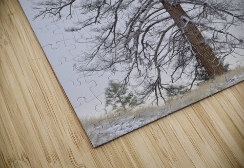 Winter Pines 2 Kristian Gunderson puzzle