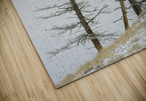 Winter Pines Kristian Gunderson puzzle