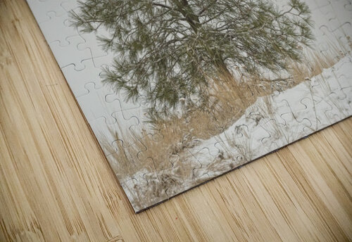 Winter Pine Kristian Gunderson puzzle