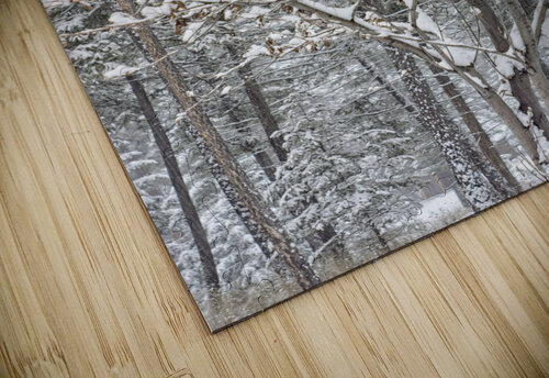 Mountain Ash Kristian Gunderson puzzle