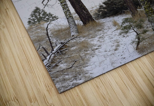 Snowcovered Path Kristian Gunderson puzzle