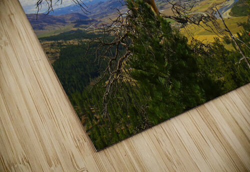 Pine with a view Kristian Gunderson puzzle