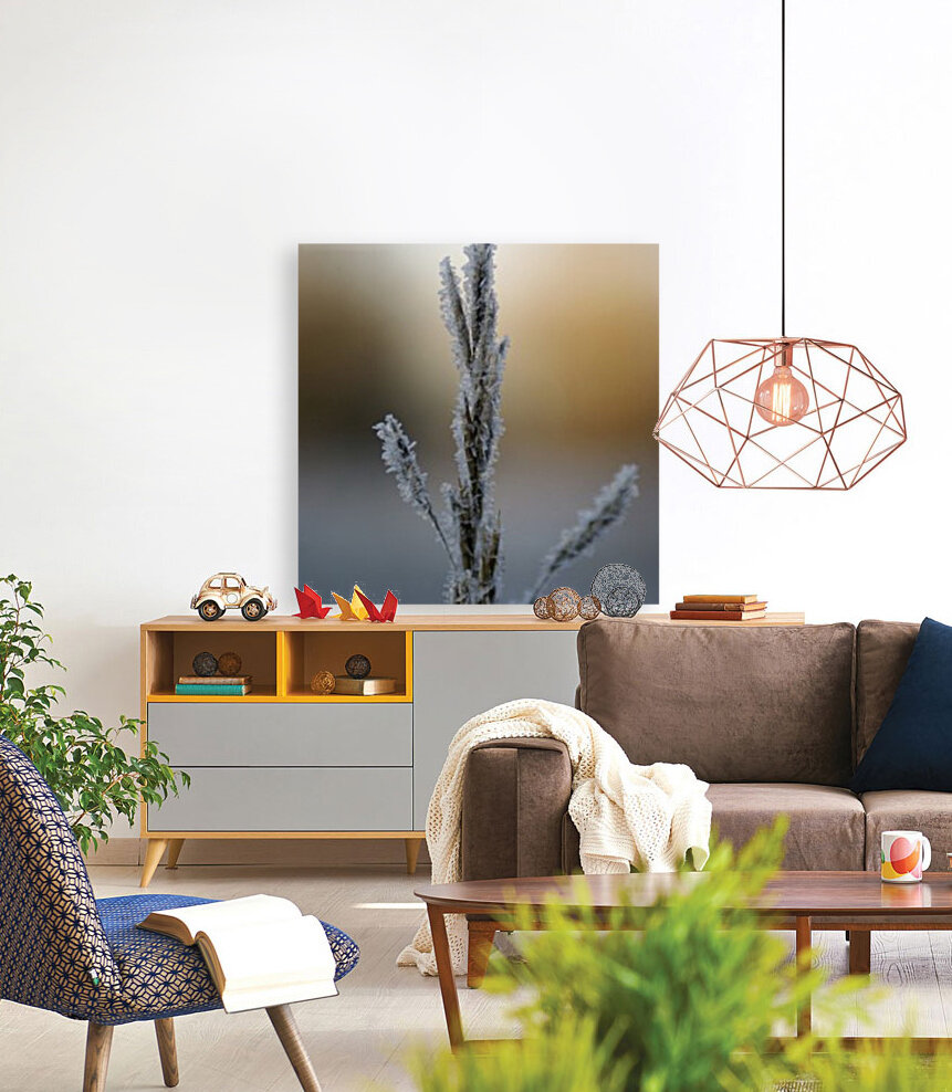 Frost Reproduction