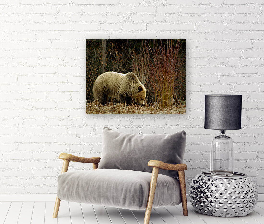 Grizzly Reproduction