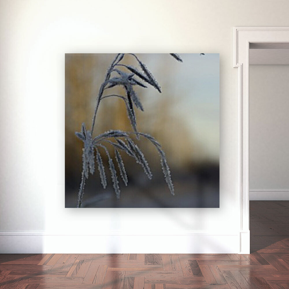 Frost Reproduction
