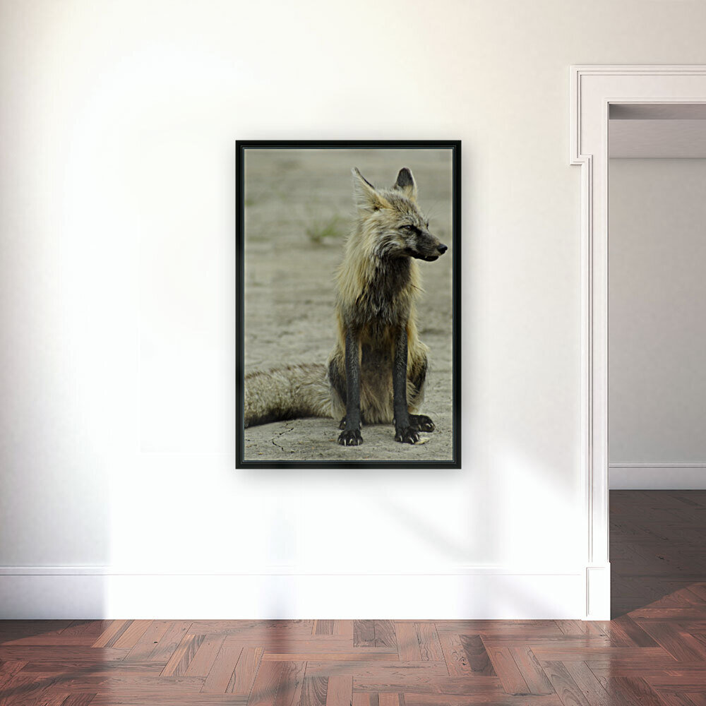 Fox Reproduction