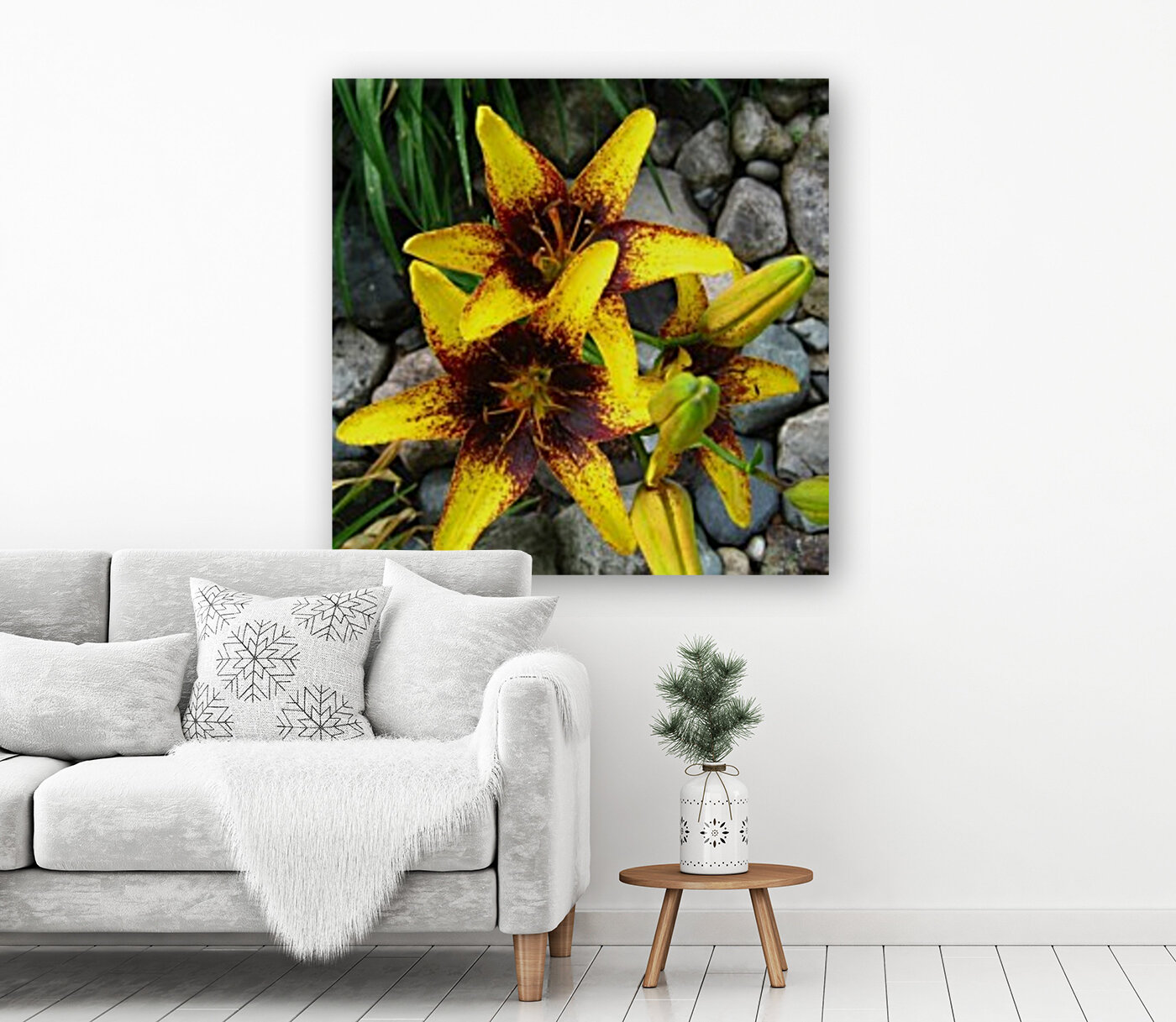 Lilys Reproduction