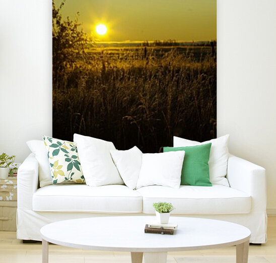 Fall Sunrise Reproduction