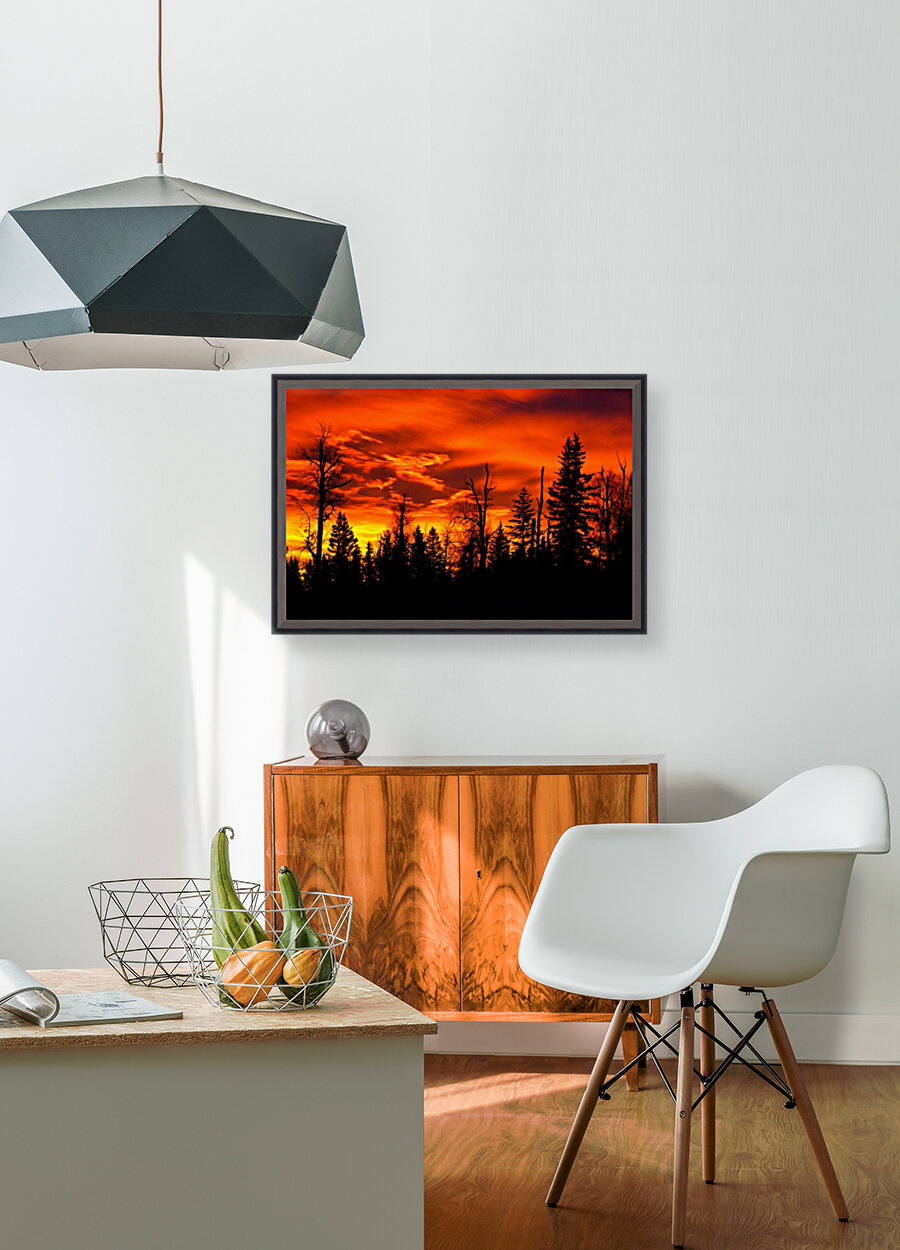 Sunrise Reproduction