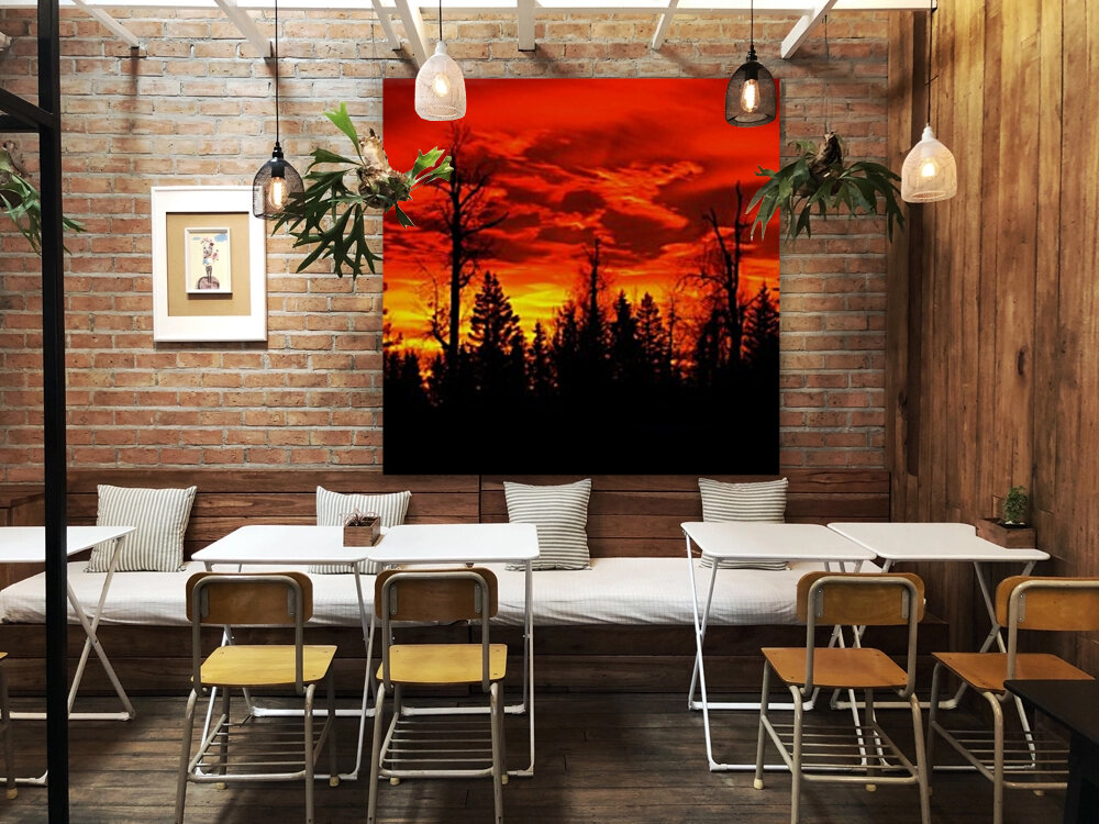 Sunrise Reproduction
