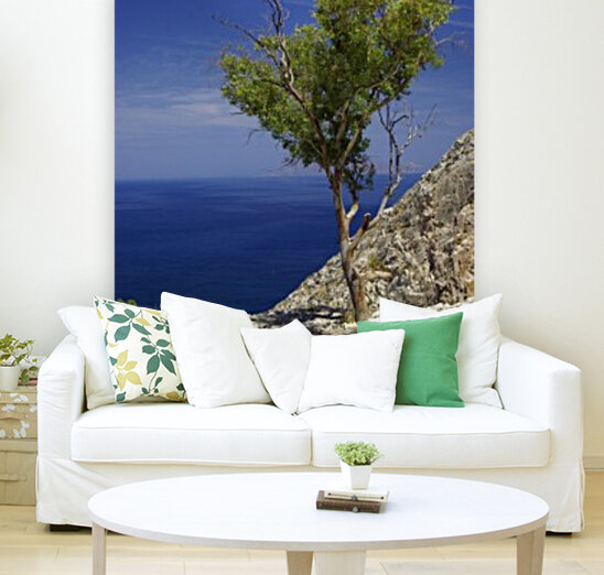 Santorini Tree Reproduction
