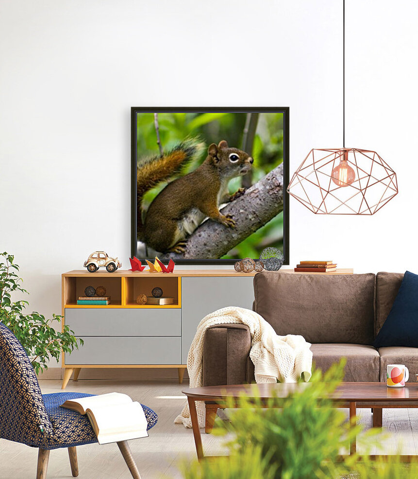 Squirrel Reproduction