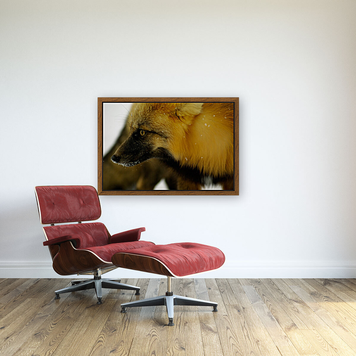 Red Fox Reproduction