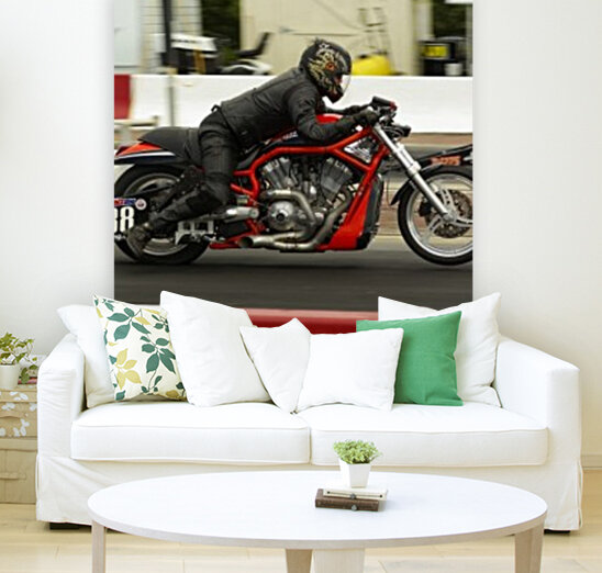 V-Rod Reproduction