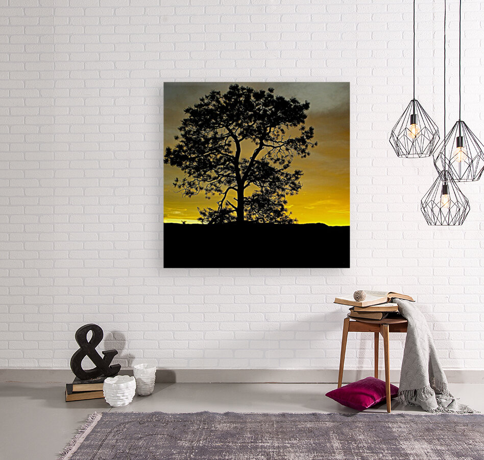 Lone Pine Reproduction