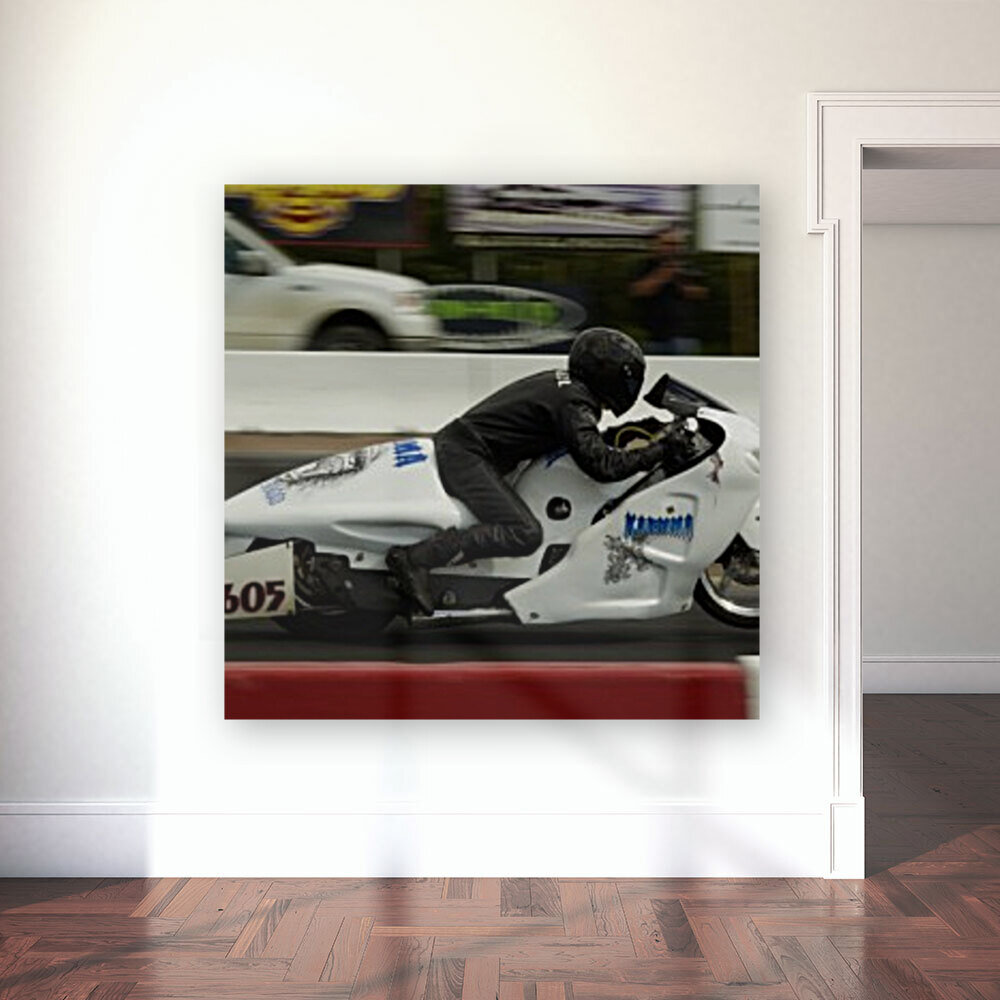 Hayabusa Reproduction