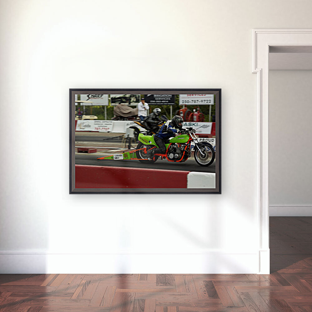 Kawasaki Reproduction