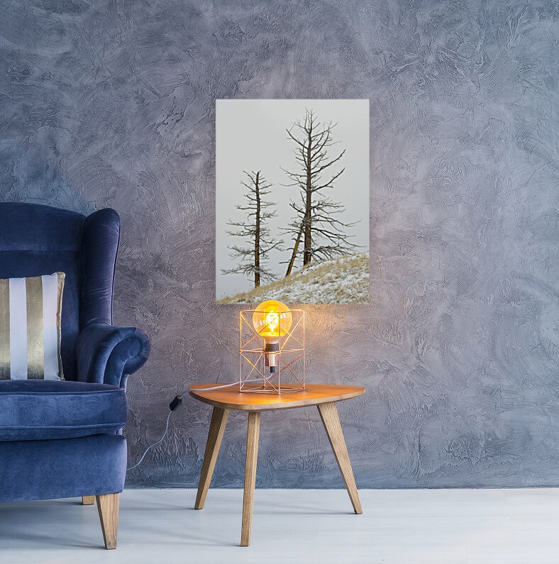 Winter Pines Reproduction