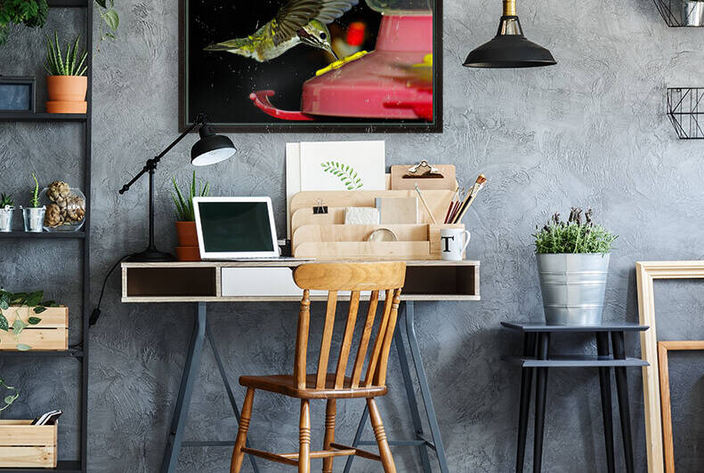 Hummingbird Reproduction