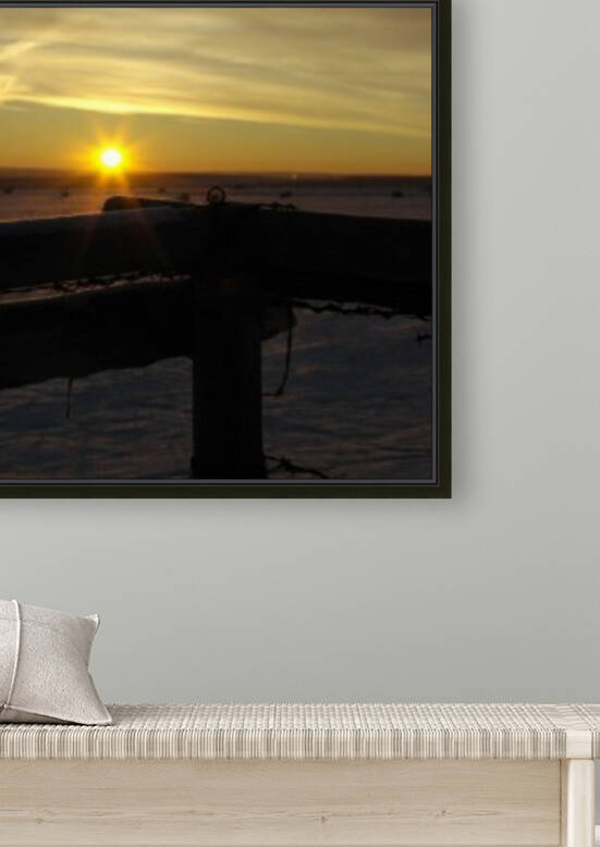 Winter Silhouette Reproduction
