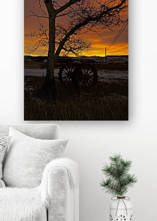 Sunrise Reproduction