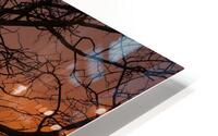 Sunrise HD Metal print